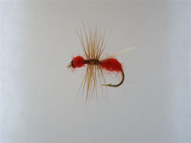 Size 12 Flying Ant Red